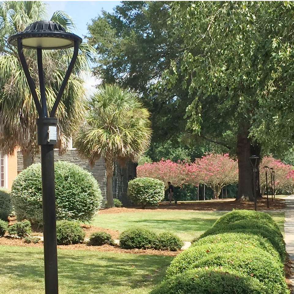 Led Post Top Light 100w 13000lm 5000k For Garden Yard Acorn Head Retrofit (1)