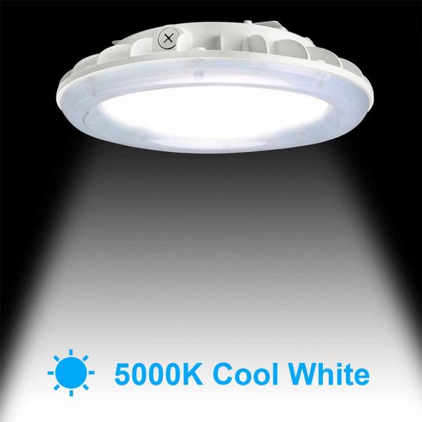 Gas Station Lamps 30w 60w 90w Gas Station Canopy Lights (6)