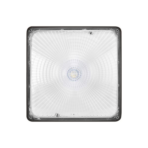 Gas Station Lights 40w 60w 120 277vac For Commercial Building (11)