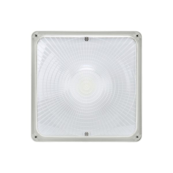 Gas Station Lights 40w 60w 120 277vac For Commercial Building (8)