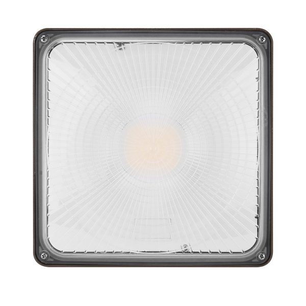 Led Canopy Lights 60w 110w Wattage And Cct Adjustable 120 277vac For Gas Station