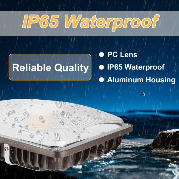 Led Canopy Lights 60w 110w Wattage And Cct Adjustable 120 277vac For Gas Station (5)