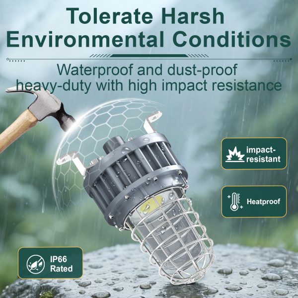 Hazardous Led Flood Explosion Proof Lights 100 277vac 20w 30w 40w 4000k 5000k Ip65 With Etl Ul Listed For Smelter (4)