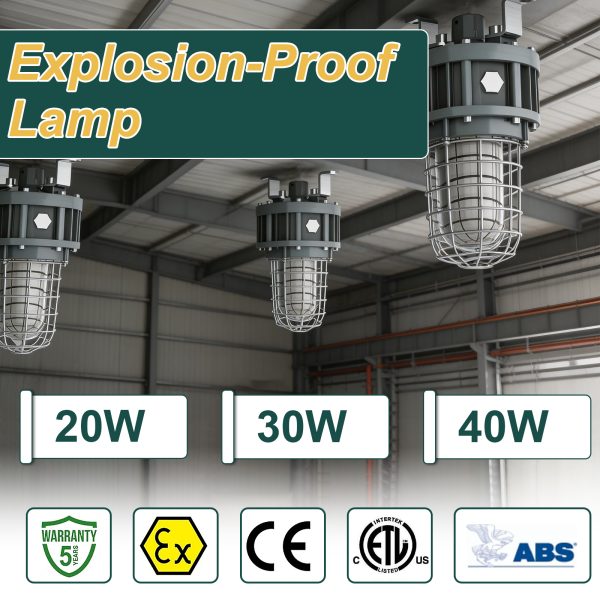 Hazardous Led Flood Explosion Proof Lights 100 277vac 20w 30w 40w 4000k 5000k Ip65 With Etl Ul Listed For Smelter (7)