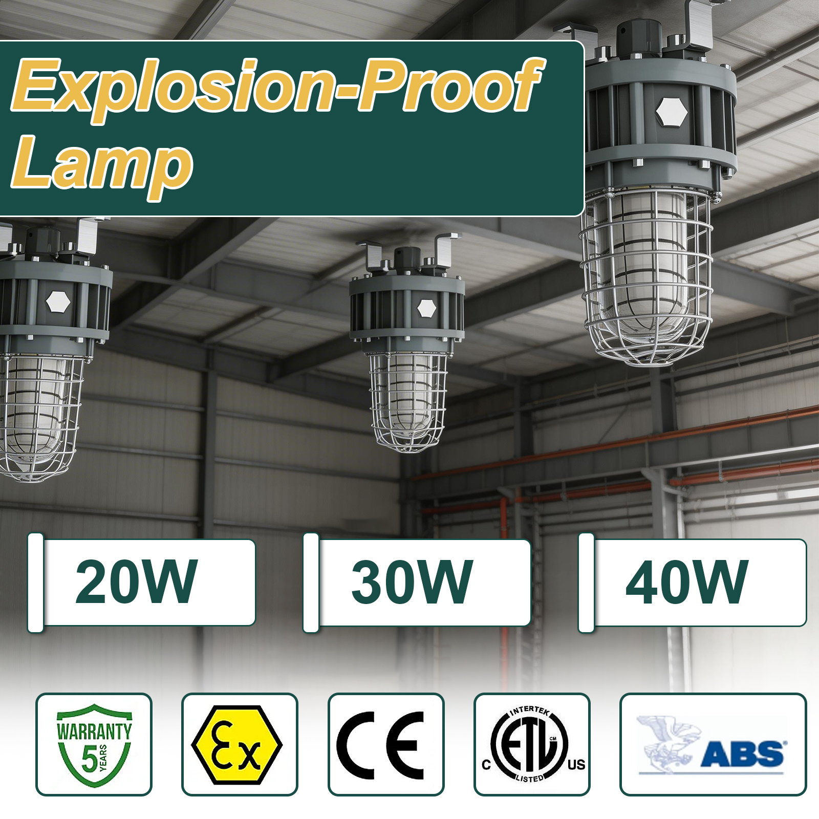 Hazardous Led Flood Explosion Proof Lights 100 277vac 20w 30w 40w 4000k 5000k Ip65 With Etl Ul Listed For Smelter (7)