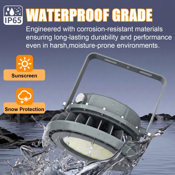 Led Explosion Proof Lights 40w 60w 80w 100w 150w 200w 250w 300w 400w 5000k Ip65 With Etl Ul Listed For Hazardous Locations (15)